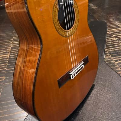 Yamaha GC-41 1998-2008 Lacquer image 3