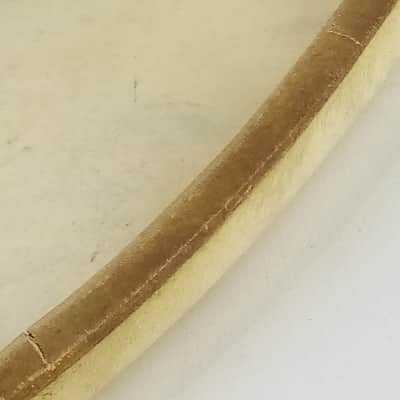 Ludwig Manny's 13" Calf Skin Tom Drum Head Resonant Vintage 30s-40s USA Batter image 8