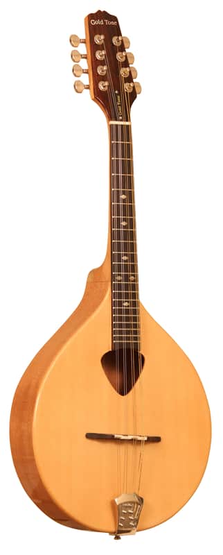 Gold Tone Mandola - Mandolin Viola image 1