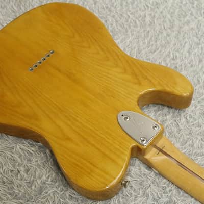 Fender Japan '72 reissue Telecaster THINLINE TN72-70 ASH FUJIGEN Made in Japan image 12