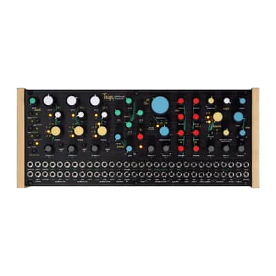 Pittsburgh Modular Taiga   Paraphonic Analog Synthesizer [Three Wave Music] image 2
