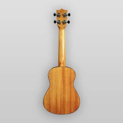Puka Model PK-TFS Tropical Fish Rosette Natural Satin Finish Soprano Ukulele image 7