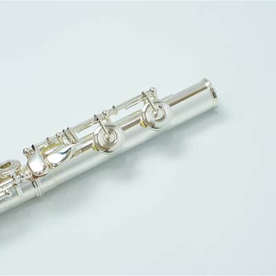 Muramatsu Handmade Flute EXⅢ-RCE C foot, Open hole, E mechanism image 15