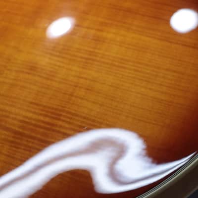 D'Angelico Premier SS Dark Iced Tea Burst Flame Maple Electric Guitar w/Bag image 19