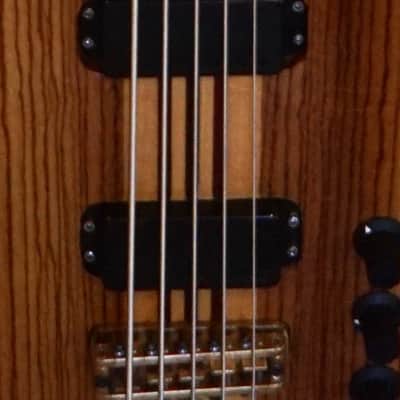 Phil Jones Custom Alembic Omega 1988 image 15