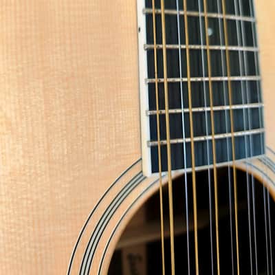 Eastman AC330E-12 - Natural image 3