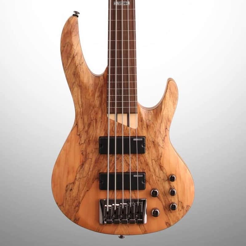ESP LTD B205 Fretless Electric Bass (5-String) image 1