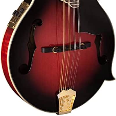 Washburn M3SWETWRK Florentine Mandolin Electric Wine Red w/ Case (B-Stock) image 6