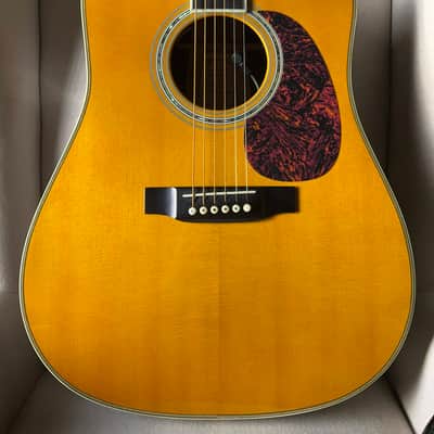 Martin Trey Anastasio Signature Edition DC Fishman Ellipse image 2