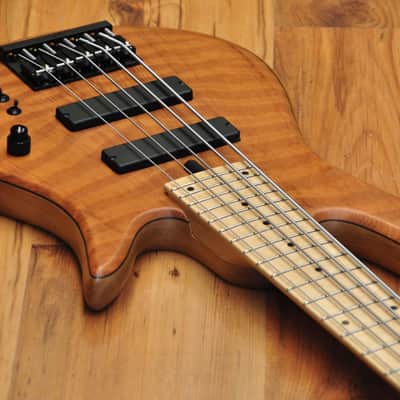 Fodera Monarch Std Special Doctorbass Edition Bird's eye Maple 5 string 19mm spacing - Figured Redwood top image 14