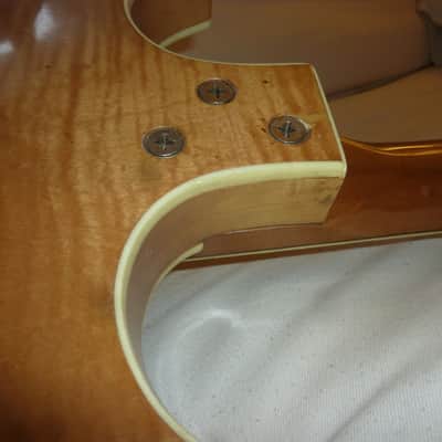 Airline Barney Kessel 1960's Natural image 11