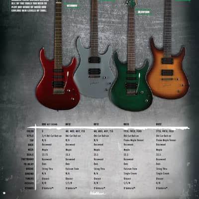 Washburn RX22, 2010, Flame Wine Sunburst, VG++ image 2