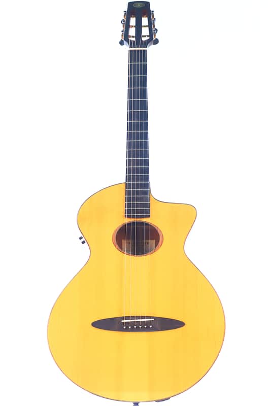 Schertler SM Acoustic Guitar – A Rare Gem in Electro-Acoustic Innovation - check video! image 1