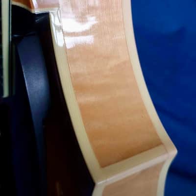 Eastman DGM1  Mandolin image 12