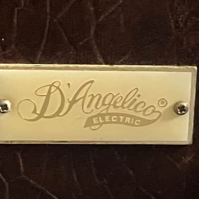 D'Angelico NYL-2 17" Hidesato Shiino Vestax era image 19