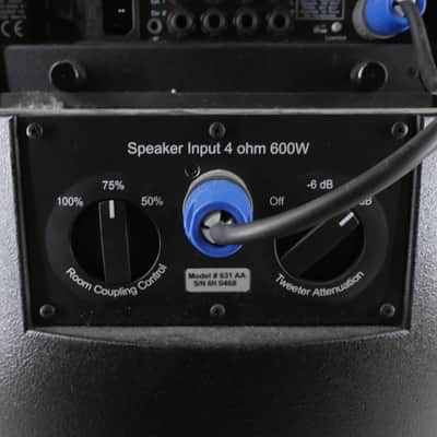 Acoustic Image Ten2 S4 631AA Double Bass Amp with Mooradian Bag image 11