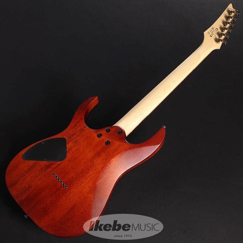 Ibanez RG421PB-SBF [Special price] | Reverb