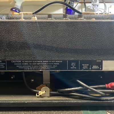 1976 Fender Tube Reverb Unit image 2