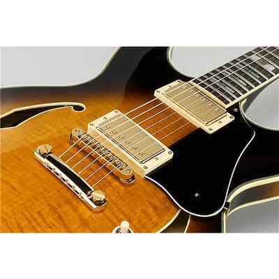Ibanez John Scofield Signature JSM100 Hollow-Body Electric Guitar, Bound Ebony Fretboard, Vintage Sunburst image 5