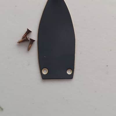 1960's Gretsch Truss Rod Cover with Screws from a 6122 (M-200) image 1