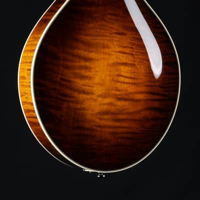 Collings MT2 O Adirondack Spruce and Flamed Maple 1-Piece Back Sunburst Mandolin NEW image 16