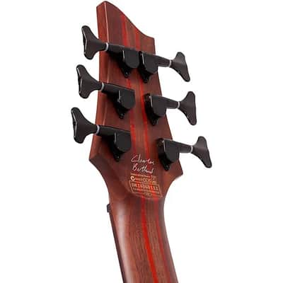 Schecter Schecter Guitar Research Charles Berthoud CB-6 6-String Electric Bass 2025 - Natural Satin image 15