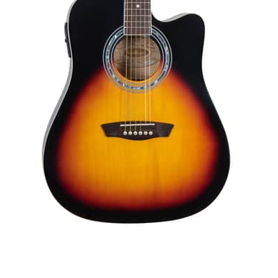 Washburn Exclusive Acoustic Electric Guitar image 1