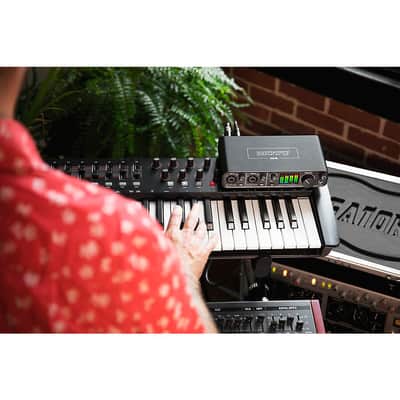 MOTU M4 4x4 USB-C Audio Interface Regular image 6