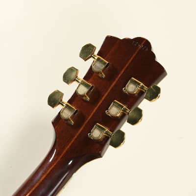 Guild F-50R, manufactured in 1975 [125078] (06/22) image 2