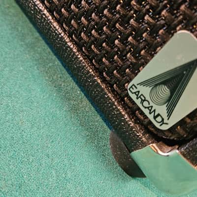 EarCandy Shirley 20W 1x12 Compact With Warehouse Speaker image 12