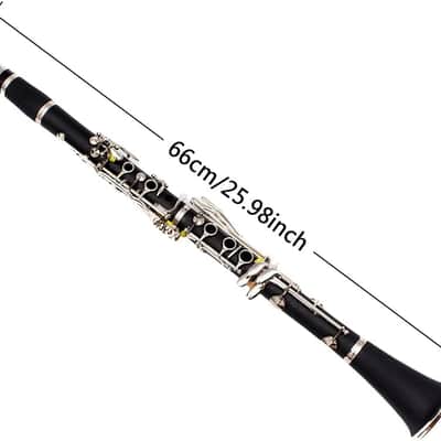 Professional Clarinet Ebonite Wood Nickel Plated Keys with Barrels Reed accessories Nice sound Durable case (Bb key) image 2