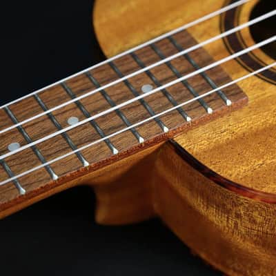 Puka Model PK-TFT Tropical Fish Rosette Natural Satin Finish Tenor Ukulele image 3