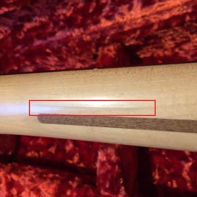 Fender Stratocaster Nonocaster Limited Edition (250ex) image 11