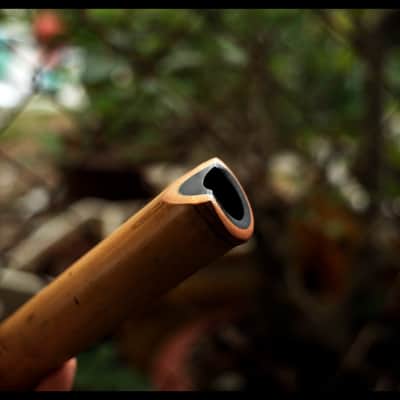 Concert-Grade 8-Hole Tang Xiao Flute - Blowing Shakuhachi - 2 Piece – Lacquered, Healing Tones in D/C/B Keys (Lowest Note) for Meditation & Music, Yellow Bamboo image 9