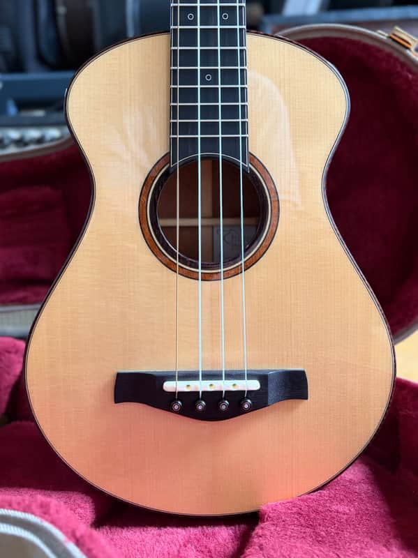 Hive Hornet Tenor Ukulele #13015 – Spruce / Mahogany – Gold Waverly Tuners – Ameritage Case image 1