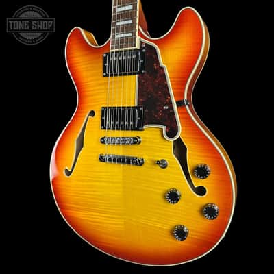 Used D'Angelico Premier DC Semi-Hollow Stoptail Dark Iced Tea Burst w/bag TSU24806 image 3