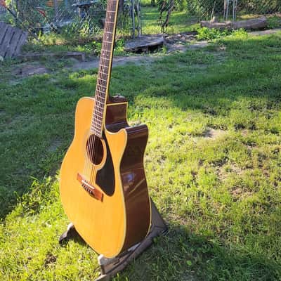 Yamaha LL-5-C image 8
