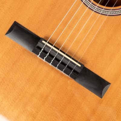 2020 Martin 000C12-16E Nylon - Natural | USA All Solid 000 Crossover Classical Guitar Cutaway Fishman Pickup | Case image 17