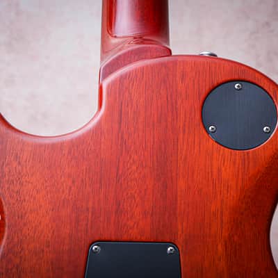 PRS USA Paul Reed Smith Signature Tremonti Tremolo "Burnt Maple Leaf + Rosewood" (2016)(Reserved) image 16