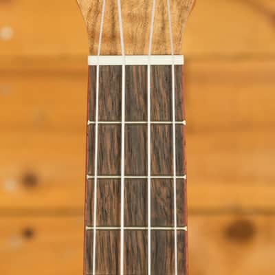 Cordoba 24 Series Ukes | 24C Spruce Concert Ukulele - Natural image 5
