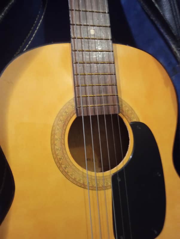 Atomic Guitar, High Gloss, Steel strings image 1