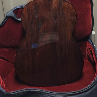 Gremlin GC10 Acoustic 80's image 5