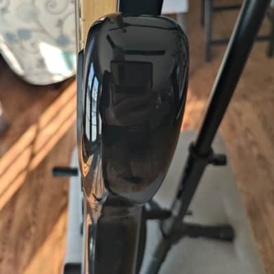 Fender Roger Waters Artist Series Signature Precision Bass 2011 - 2017 - Black image 11