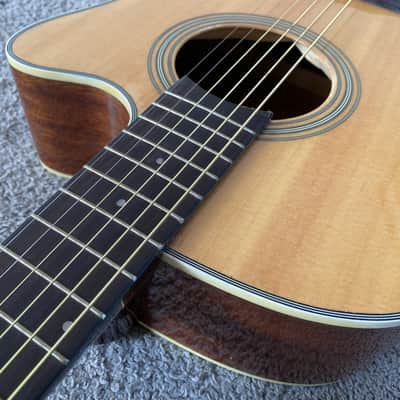 Blast 40 Inch Acoustic Guitar in Natural Burst, 20 Frets image 6