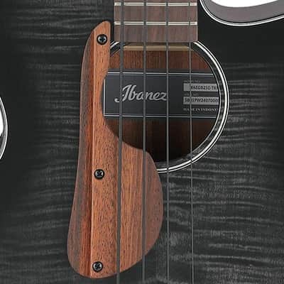 Ibanez AEGB25E TKH Acoustic Electric Bass. Transparent Black Burst High Gloss image 7
