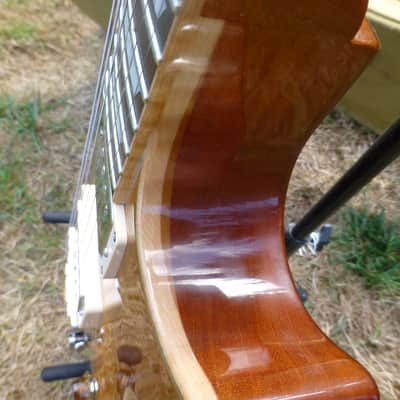 Vaschenko LP Type 2013 Vintage Amber image 7