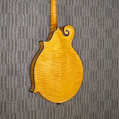 Gibson F-5 Goldrush Mandolin 2008 image 2