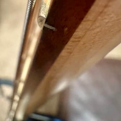Fender Deluxe Active Precision Bass Special with Pau Ferro Fretboard 2017 - Olympic White image 5