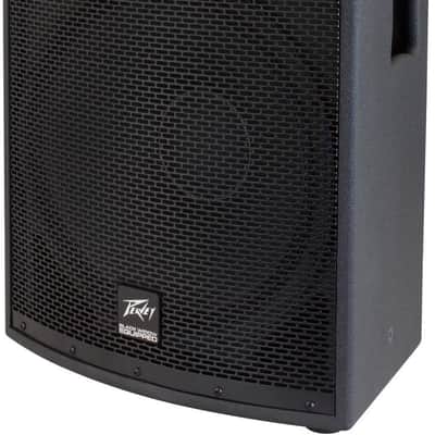 Peavey SP 2 1000-Watt 2-Way PA Speaker image 3