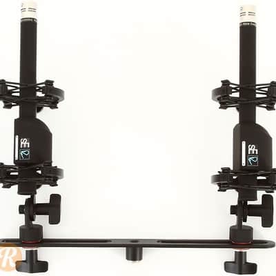 sE Electronics RN17 Matched Pair